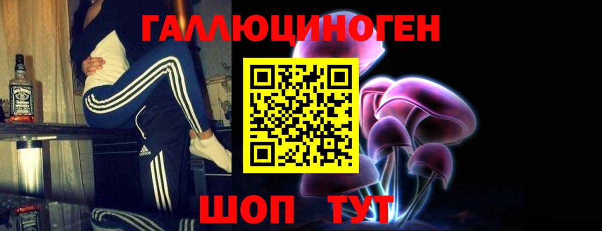 Галлюциногенные грибы Cubensis  Вход с VPN  Сибай 
